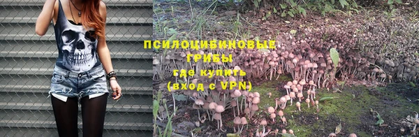 марки nbome Алексеевка